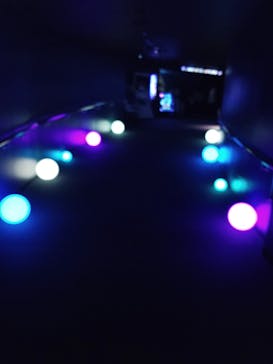 サンシャイン水族館に投稿された画像（2021/11/5）