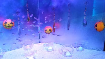 マクセル アクアパーク品川に投稿された画像（2021/11/5）