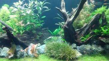 マクセル アクアパーク品川に投稿された画像（2021/11/5）