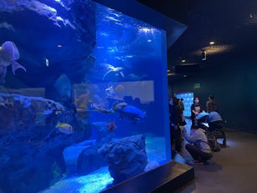 マクセル アクアパーク品川に投稿された画像（2021/11/6）