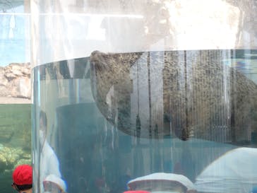 京都水族館に投稿された画像（2021/11/6）