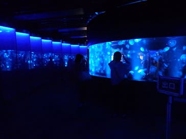 京都水族館に投稿された画像（2021/11/6）