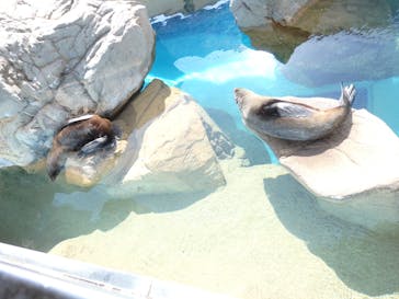京都水族館に投稿された画像（2021/11/6）