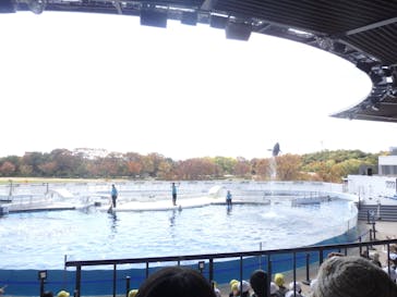 京都水族館に投稿された画像（2021/11/6）