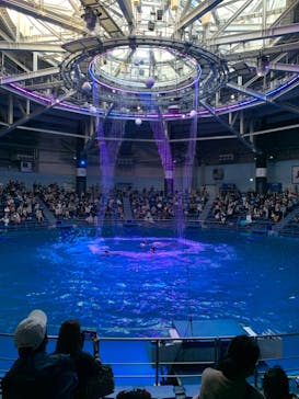 マクセル アクアパーク品川に投稿された画像（2021/11/6）