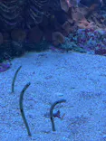 サンシャイン水族館に投稿された画像（2021/11/6）
