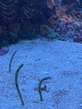 サンシャイン水族館に投稿された画像（2021/11/6）