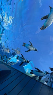 サンシャイン水族館に投稿された画像（2021/11/6）