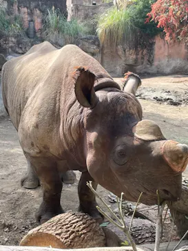 天王寺動物園に投稿された画像（2021/11/6）