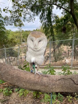しろとり動物園に投稿された画像（2021/11/6）