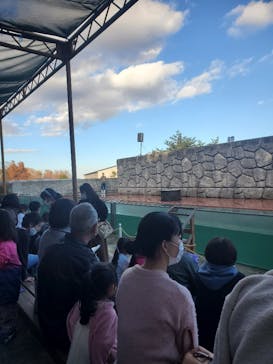 那須どうぶつ王国に投稿された画像（2021/11/6）