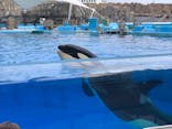 名古屋港水族館に投稿された画像（2021/11/6）
