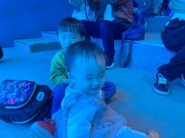 名古屋港水族館に投稿された画像（2021/11/6）