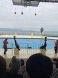 マリンワールド海の中道に投稿された画像（2021/11/6）