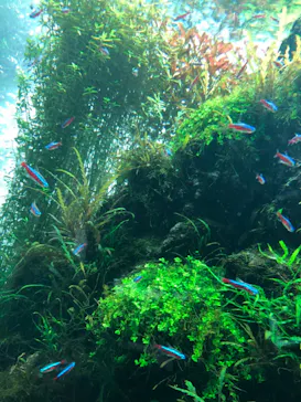 すみだ水族館に投稿された画像（2021/11/6）