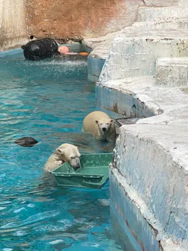 天王寺動物園に投稿された画像（2021/11/6）
