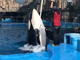 名古屋港水族館に投稿された画像（2021/11/6）