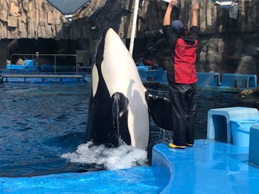 名古屋港水族館に投稿された画像（2021/11/6）