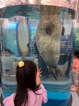 京都水族館に投稿された画像（2021/11/6）