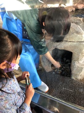 京都水族館に投稿された画像（2021/11/6）