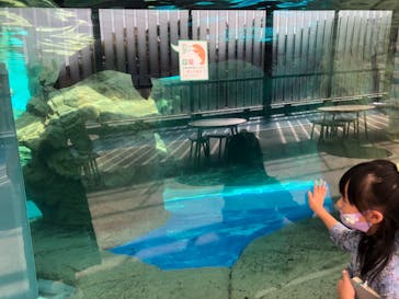 京都水族館に投稿された画像（2021/11/6）