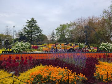 安城産業文化公園デンパークに投稿された画像（2021/11/6）