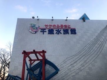 サケのふるさと 千歳水族館に投稿された画像（2021/11/6）