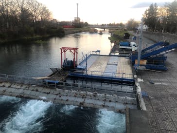 サケのふるさと 千歳水族館に投稿された画像（2021/11/6）