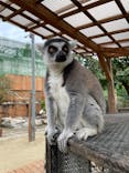 しろとり動物園に投稿された画像（2021/11/6）