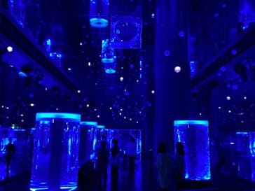 マクセル アクアパーク品川に投稿された画像（2021/11/6）