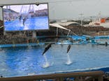 名古屋港水族館に投稿された画像（2021/11/6）
