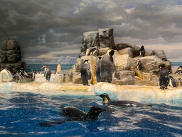 名古屋港水族館に投稿された画像（2021/11/6）