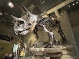 国立科学博物館に投稿された画像（2021/11/6）