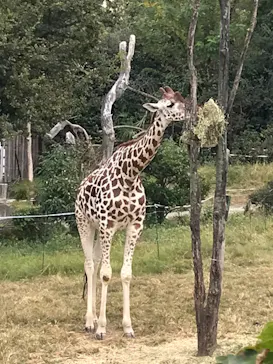 天王寺動物園に投稿された画像（2021/11/6）