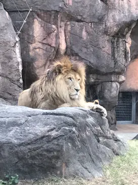天王寺動物園に投稿された画像（2021/11/6）