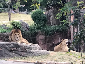 天王寺動物園に投稿された画像（2021/11/6）