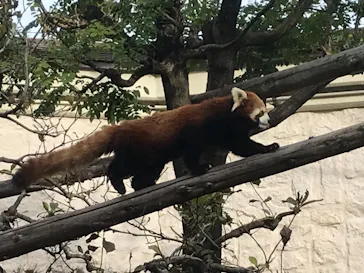 天王寺動物園に投稿された画像（2021/11/6）