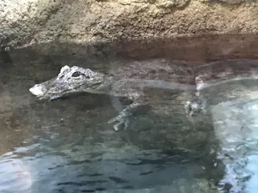天王寺動物園に投稿された画像（2021/11/6）