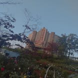 西武園ゆうえんちに投稿された画像（2021/11/6）