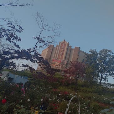 西武園ゆうえんちに投稿された画像（2021/11/6）