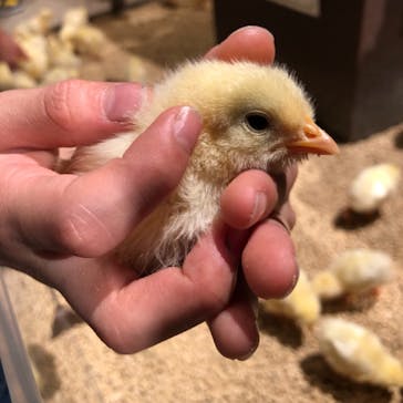 Moff animal world MARK IS みなとみらい店に投稿された画像（2021/11/6）