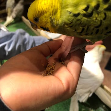 Moff animal world MARK IS みなとみらい店に投稿された画像（2021/11/6）