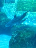 名古屋港水族館に投稿された画像（2021/11/6）
