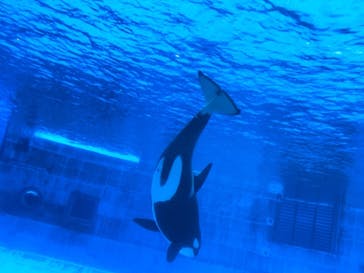 名古屋港水族館に投稿された画像（2021/11/6）