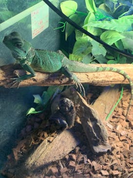 Moff animal world MARK IS みなとみらい店に投稿された画像（2021/11/6）