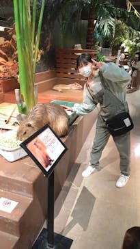 Moff animal world MARK IS みなとみらい店に投稿された画像（2021/11/6）