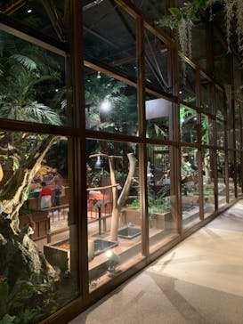 Moff animal world MARK IS みなとみらい店に投稿された画像（2021/11/6）