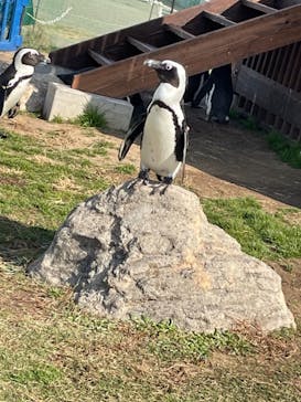 名古屋港水族館に投稿された画像（2021/11/6）