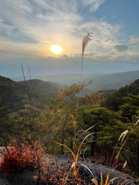 昇仙峡ロープウェイに投稿された画像（2021/11/6）