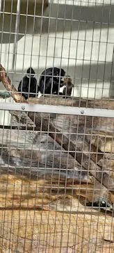 天王寺動物園に投稿された画像（2021/11/6）